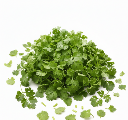 Coriander (Dhana)