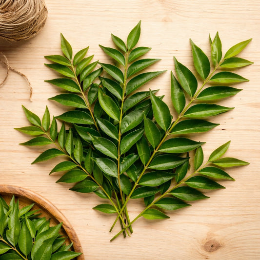 Curry leaves (Mitho limdo)