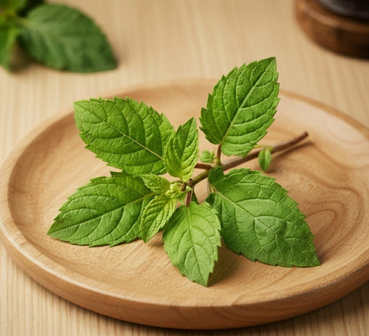 Mint Leaves (fudina)