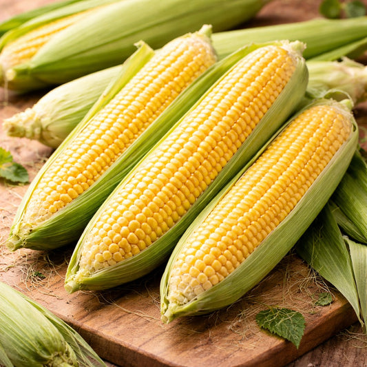American Corn (American makai)