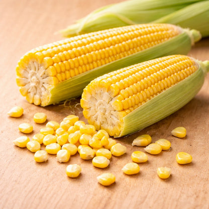 American Corn (American makai)
