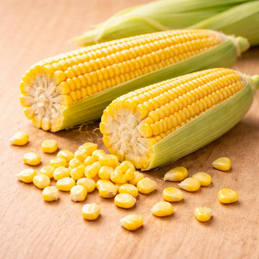 American Corn (American makai)